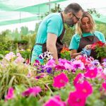 Flower Gardens