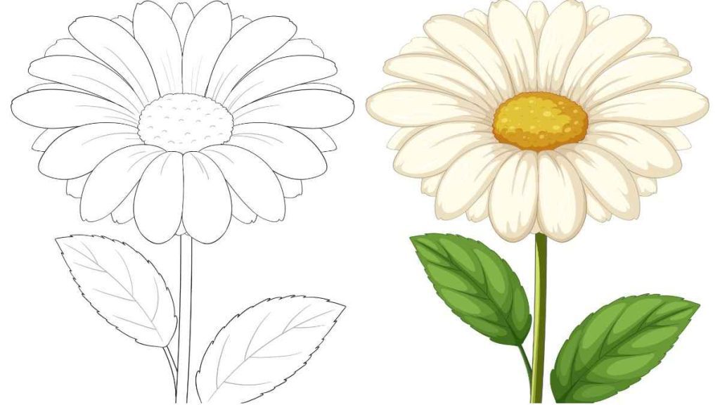 Flower coloring sheets