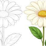 Flower coloring sheets